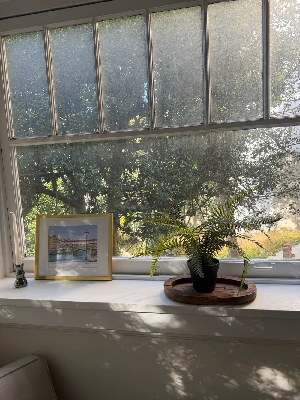Pottery Barn Faux Potted Wild Fern